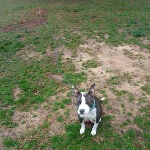 Meet your Posher, Jeffery